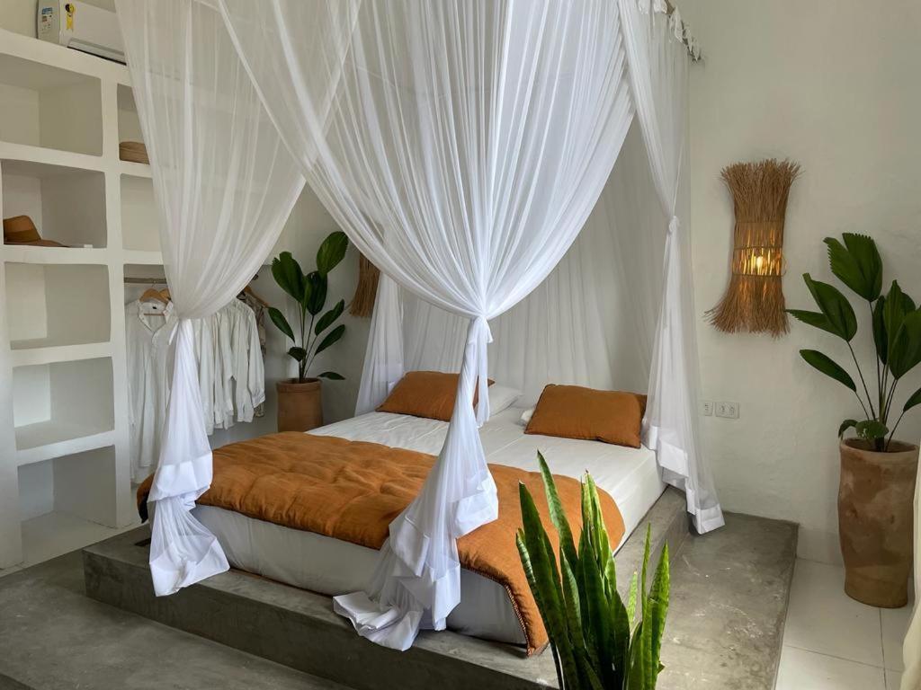 Samambaia Apartamento